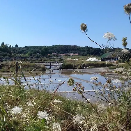 La Chaumette Les Sables-d'Olonne