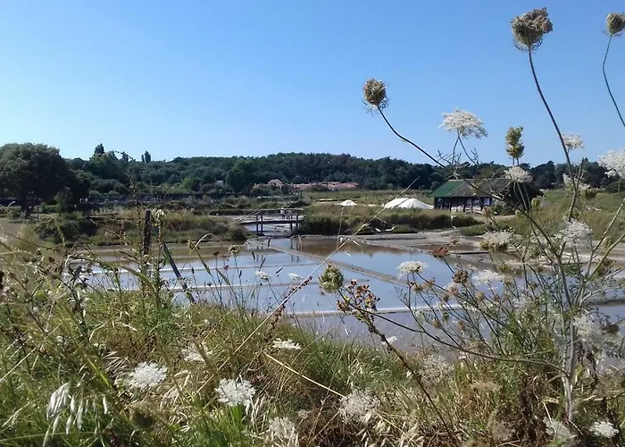 La Chaumette Les Sables-dʼOlonne